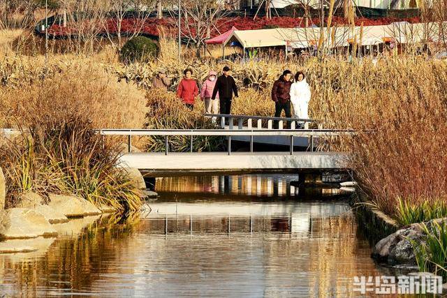 張村河畔夕照垂釣，暖冬繪就生態(tài)新景