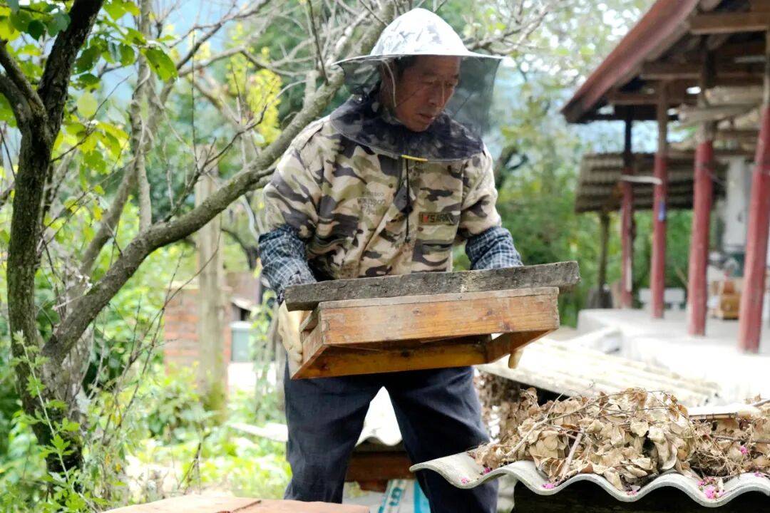 留壩蜂蜜又有新續(xù)集了？