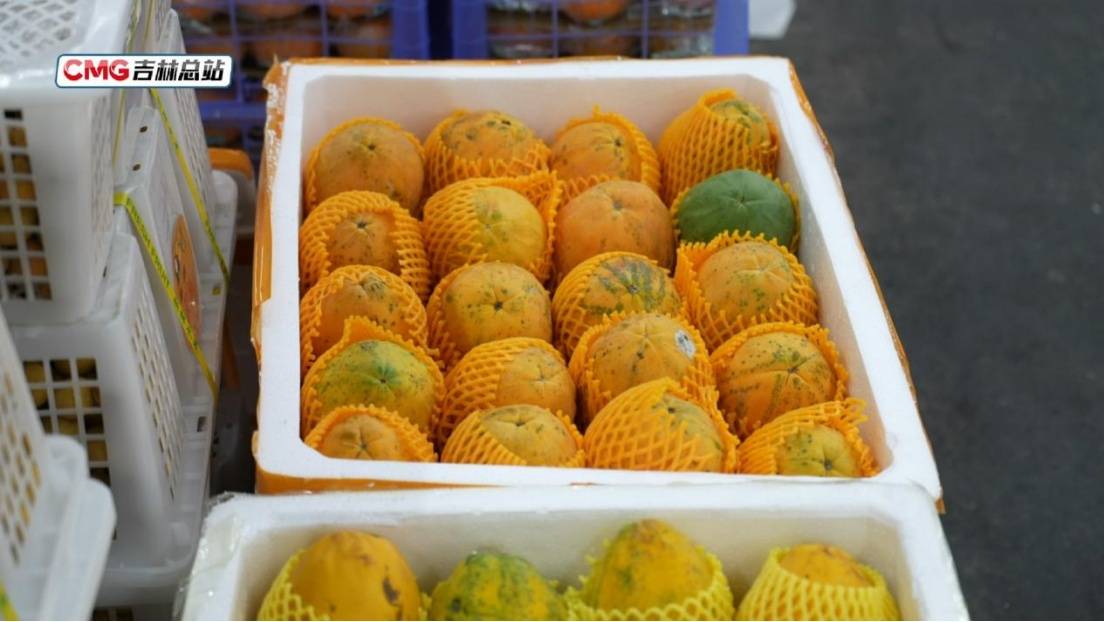 元旦假期長春水果花卉市場購銷兩旺 節(jié)日消費(fèi)市場暖意濃