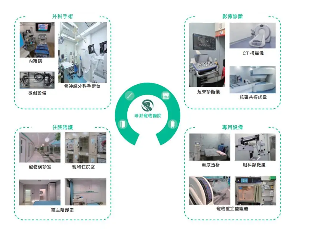 被“鏟屎官”吐槽存診療爭(zhēng)議，寵物醫(yī)療巨頭瑞派寵物IPO背后AB面