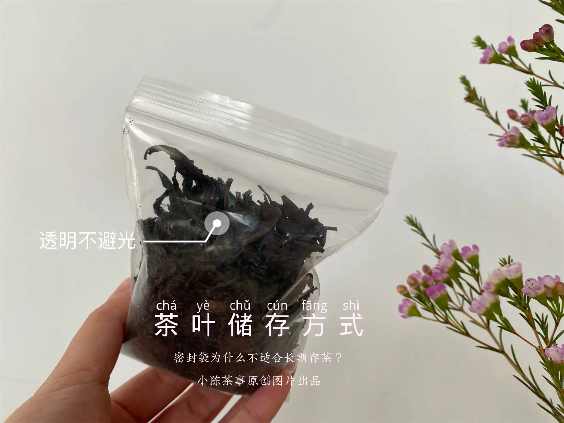 幾千塊的茶葉，別毀在幾毛的密封袋上！茶葉密封袋，你選對(duì)了嗎？