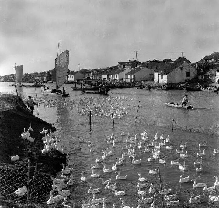 新中國(guó)第一批女?dāng)z影記者曉莊去世，享年94歲