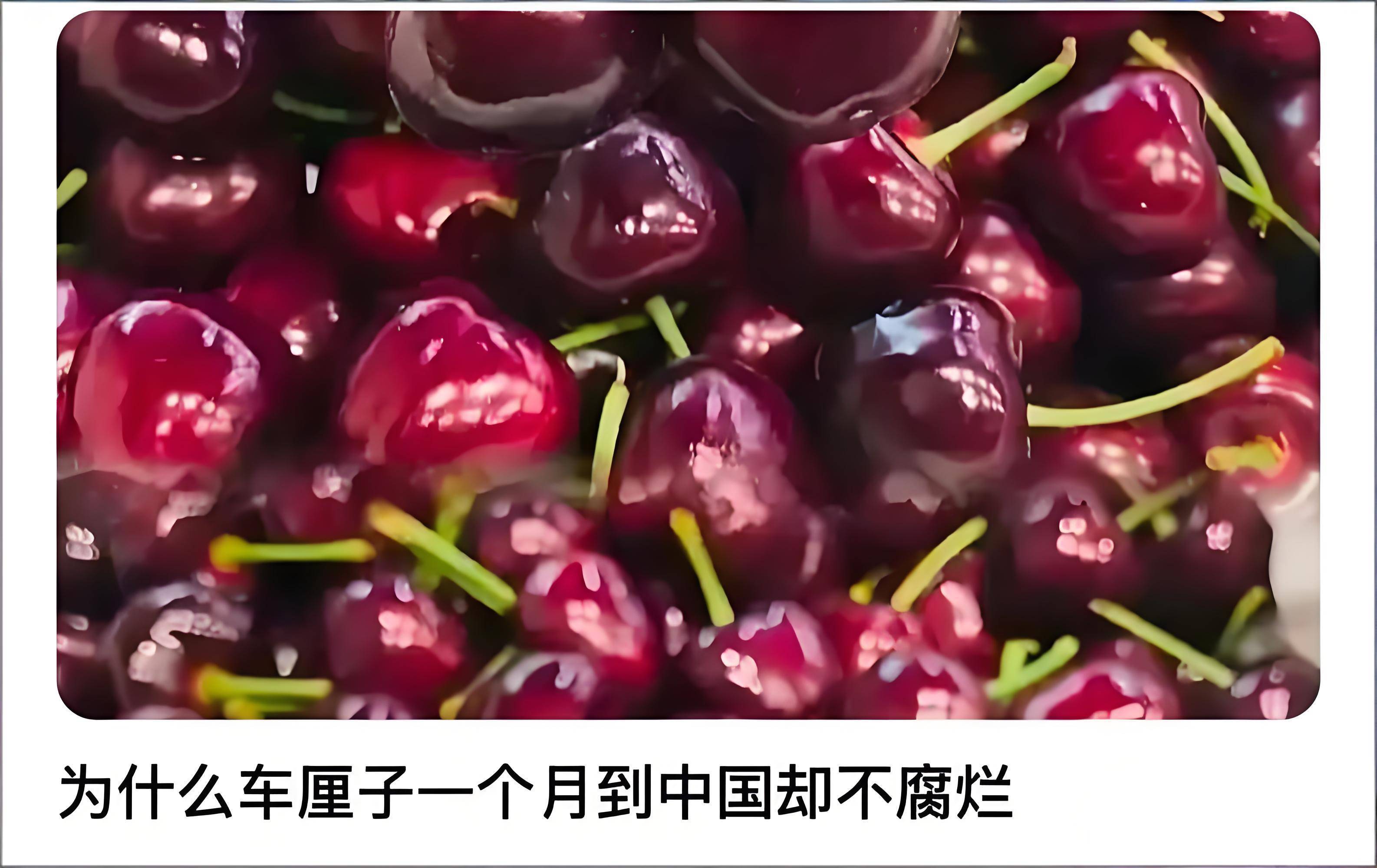 原創(chuàng)為啥車?yán)遄?個月到中國都不腐爛?一場精心策劃的“水果冬眠”