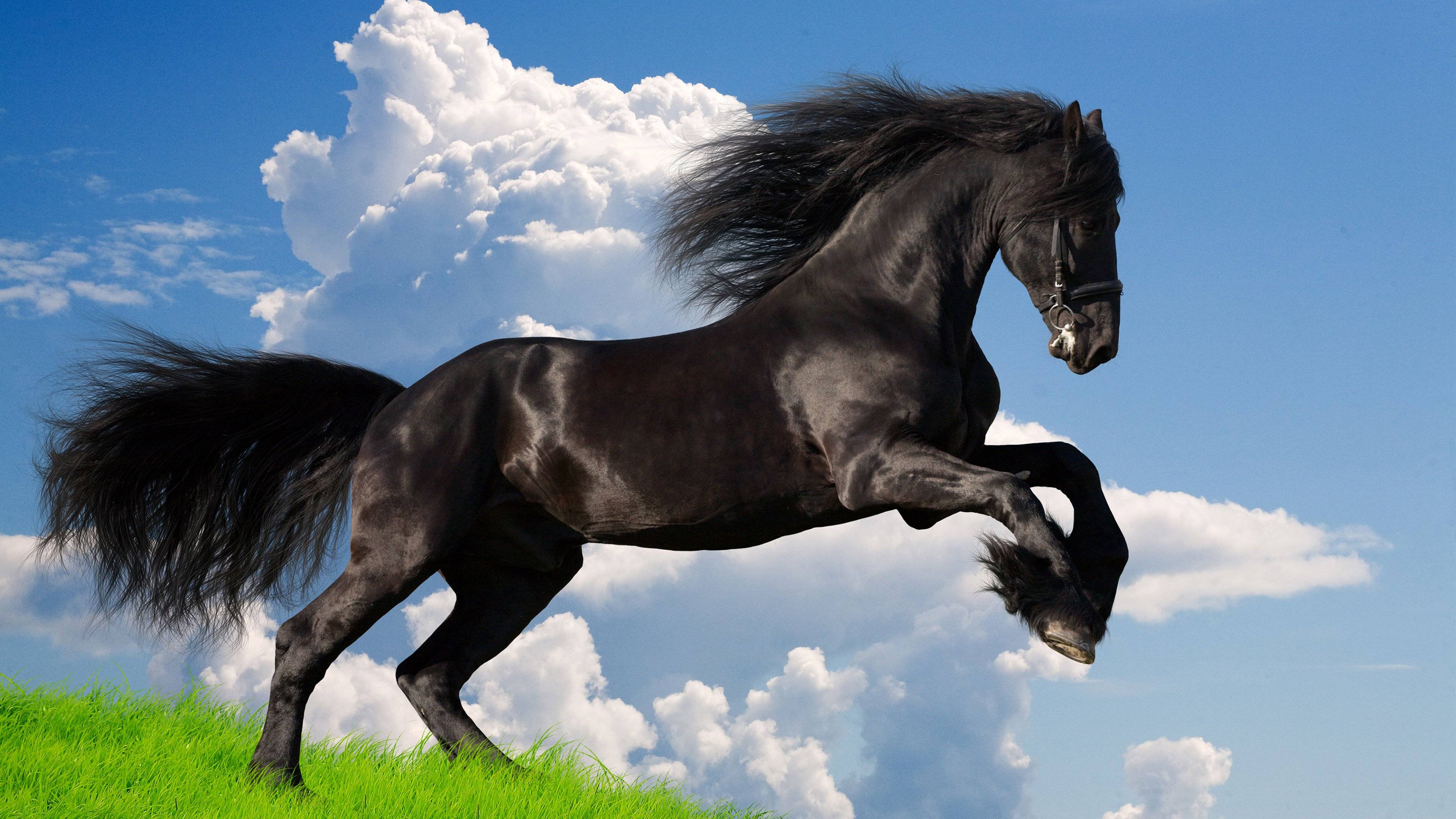 在職研究生上課方式,在職研究生周末上課嗎