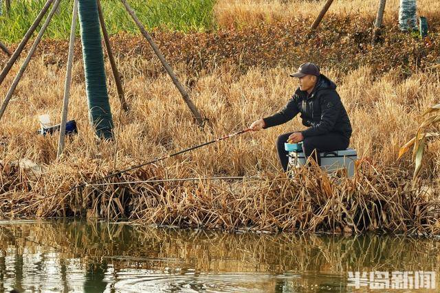 張村河畔夕照垂釣，暖冬繪就生態(tài)新景