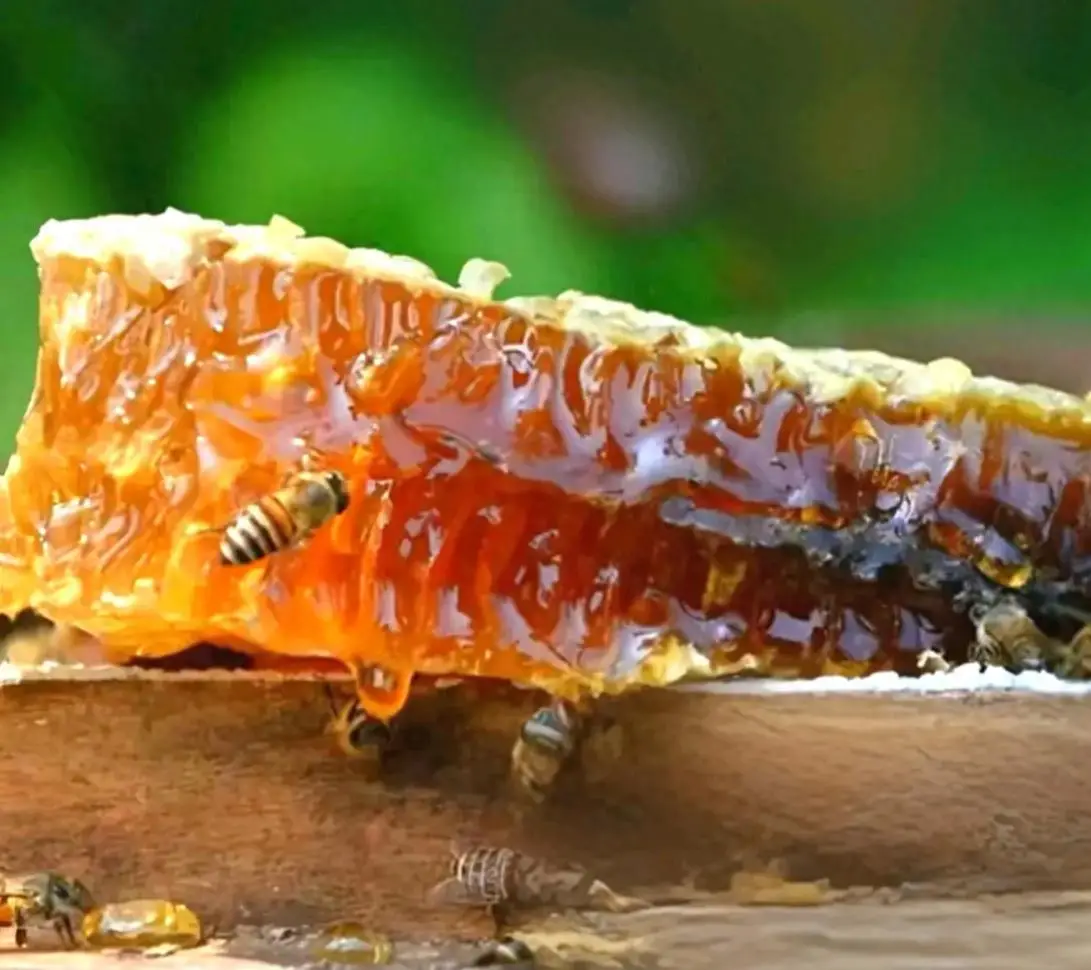 土蜂蜜是什么蜂蜜？一文說(shuō)透