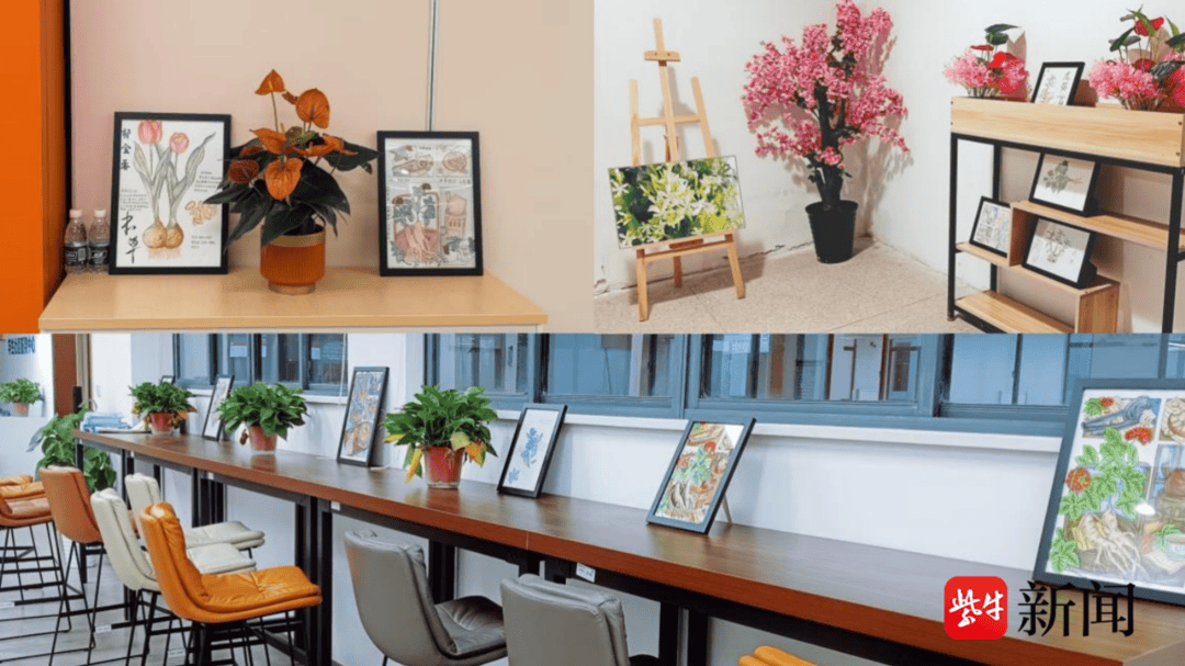 賦能中藥文化傳承，蘇州衛(wèi)生職業(yè)技術(shù)學(xué)院“紫花地丁”中藥社團(tuán)這樣做——