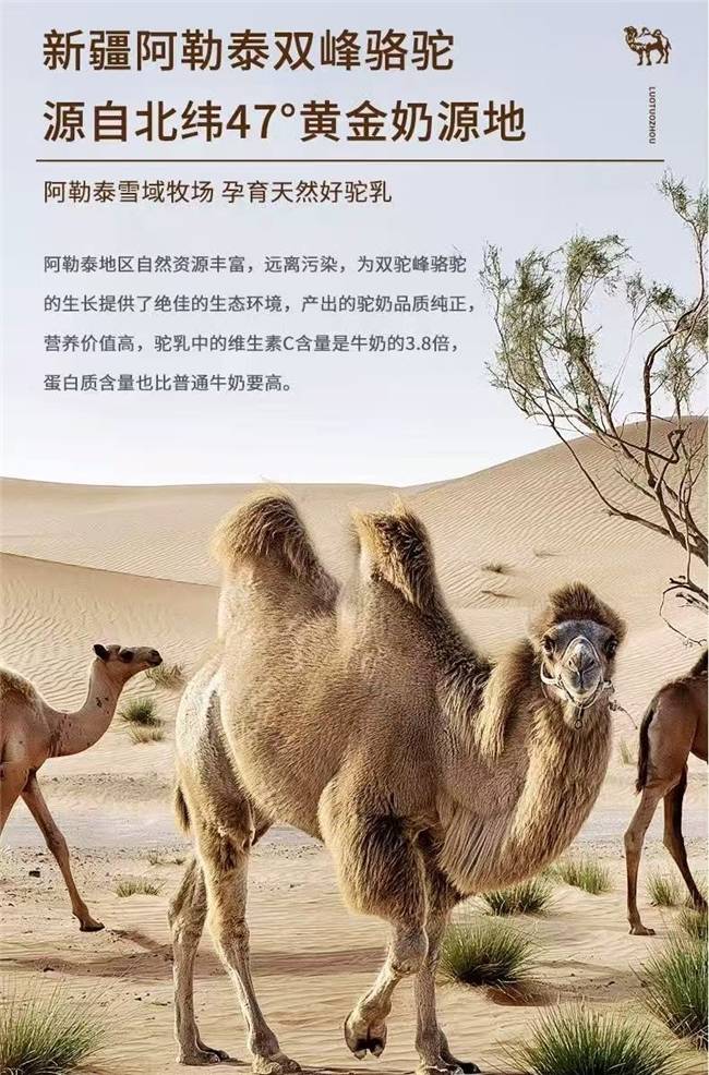 2025駝奶粉，評(píng)測(cè)駝奶粉哪個(gè)品牌是正品駝奶？
