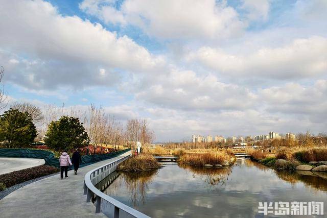 張村河畔夕照垂釣，暖冬繪就生態(tài)新景