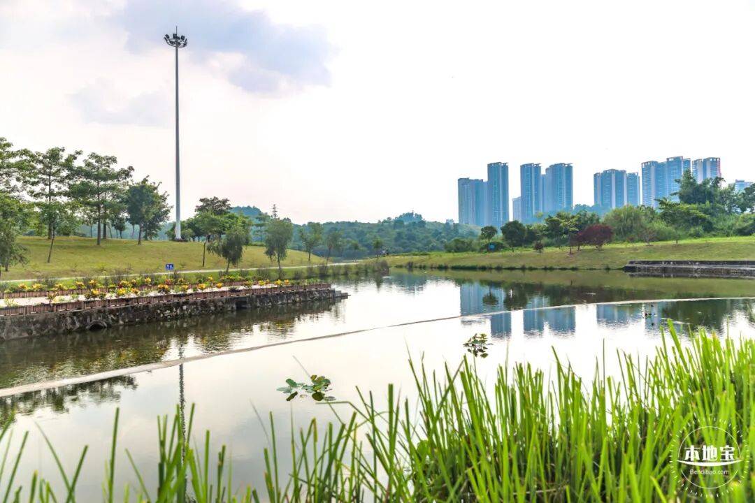 低價(jià)租房！深圳這三區(qū)公租房選房安排已公布！1899戶家庭準(zhǔn)備選房！