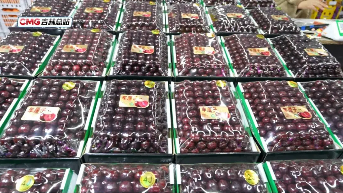 元旦假期長春水果花卉市場購銷兩旺 節(jié)日消費市場暖意濃