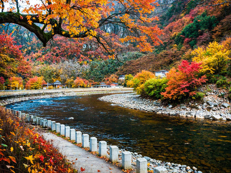 2025影像盤點 | 與山河同呼吸——攝影師 張云霞