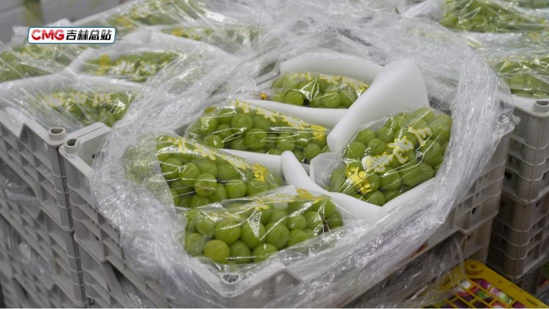 元旦假期長春水果花卉市場購銷兩旺 節(jié)日消費(fèi)市場暖意濃