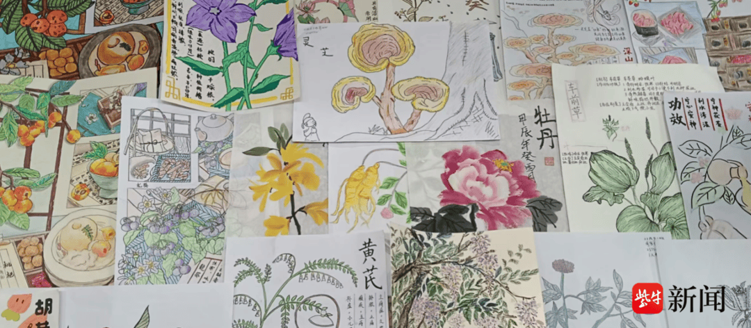 賦能中藥文化傳承，蘇州衛(wèi)生職業(yè)技術(shù)學(xué)院“紫花地丁”中藥社團(tuán)這樣做——