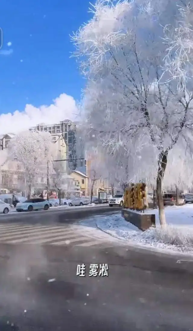 原創(chuàng)藍(lán)盈瑩吉林游玩，零下24度戶外只待半個(gè)小時(shí)就被凍傷，臉又紅又腫