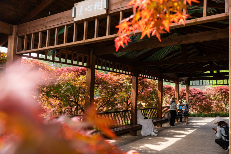 2025影像盤點 | 與山河同呼吸——攝影師 張云霞