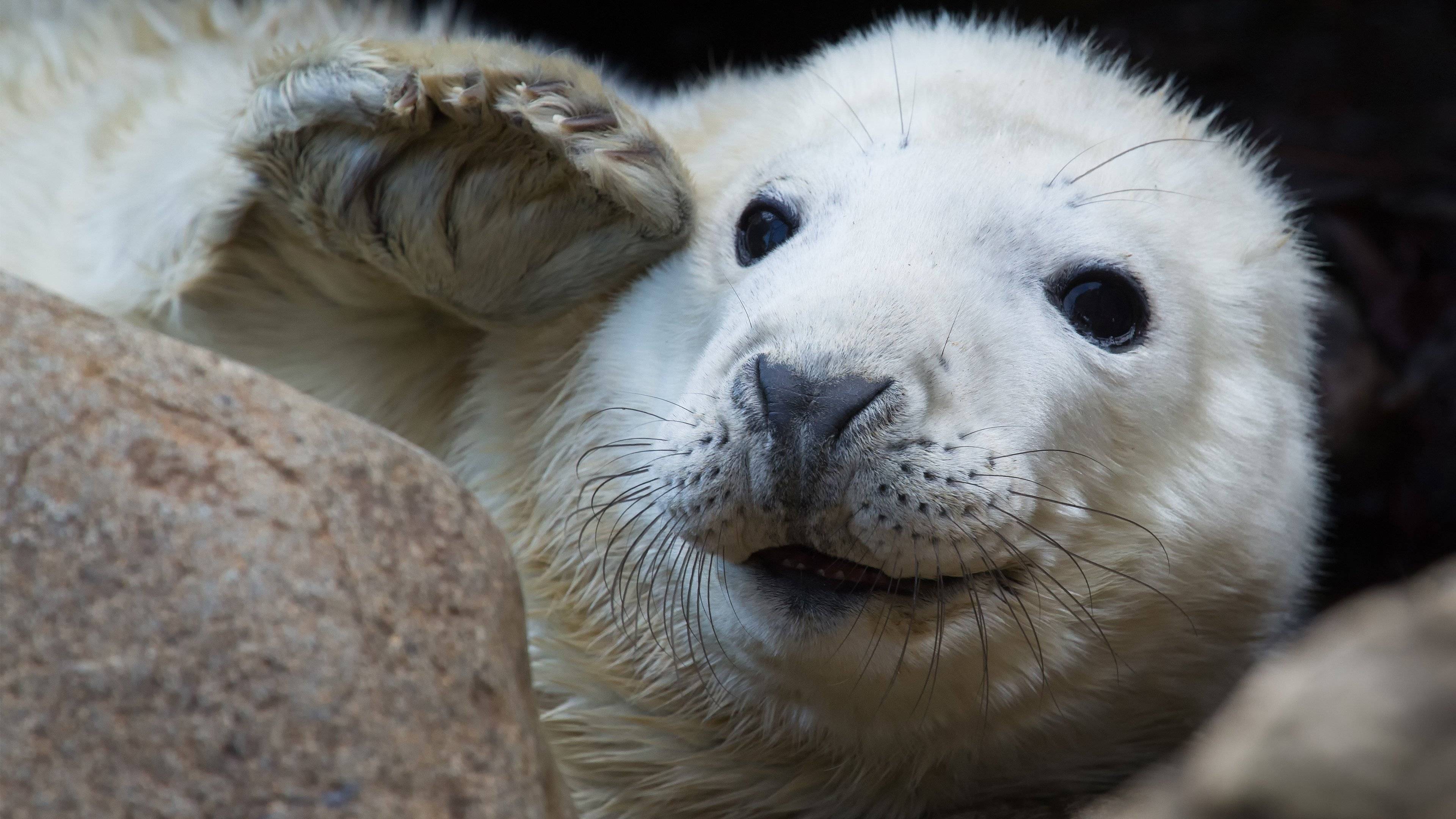 在職研究生上課方式,在職研究生周末上課嗎