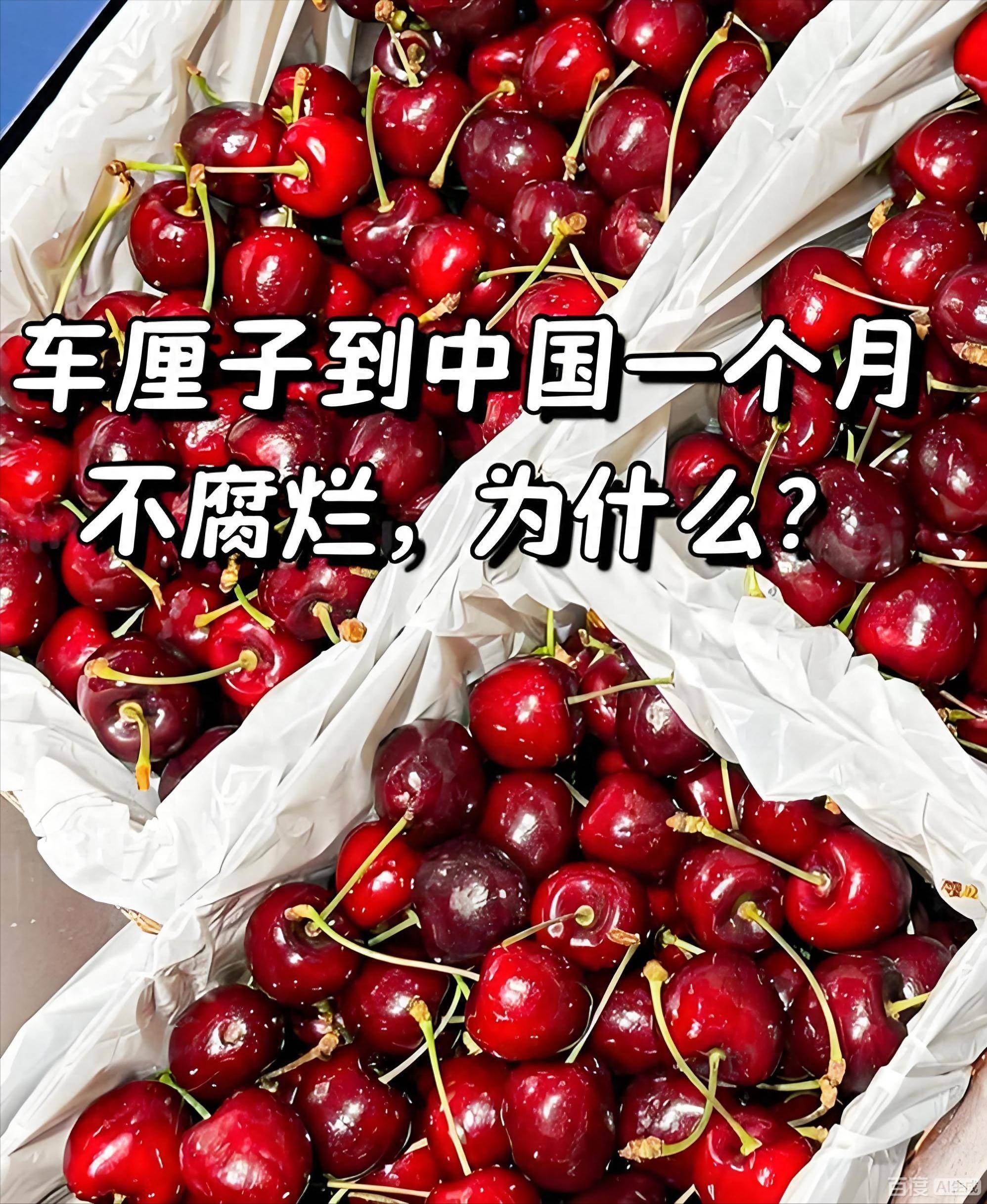 原創(chuàng)為啥車?yán)遄?個(gè)月到中國(guó)都不腐爛?一場(chǎng)精心策劃的“水果冬眠”