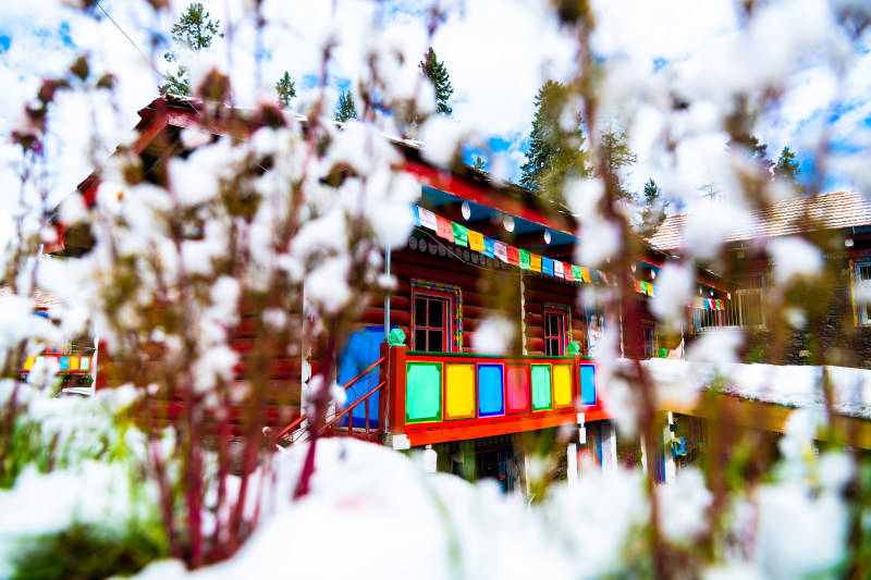 2025影像盤點 | 與山河同呼吸——攝影師 張云霞