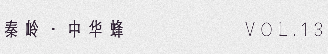 留壩蜂蜜又有新續(xù)集了？