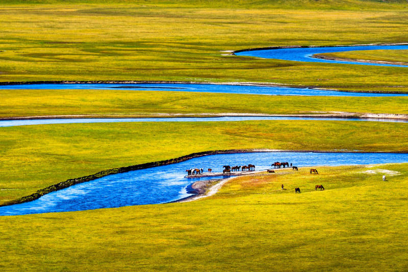 2025影像盤點 | 與山河同呼吸——攝影師 張云霞