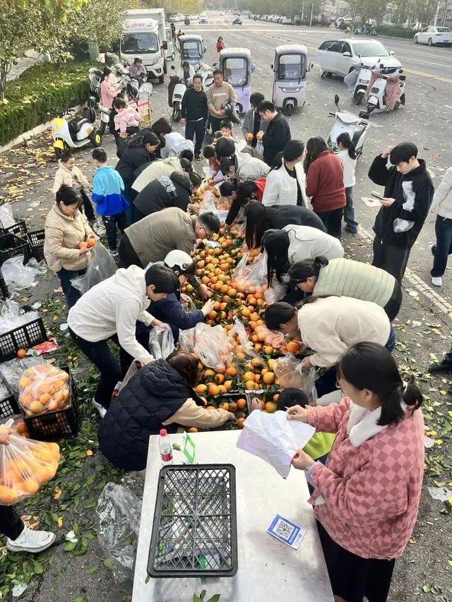 新聞周刊｜貨車跨界，變身流動水果攤！從運水果到賣水果，貨車司機能否走出低運價困局？
