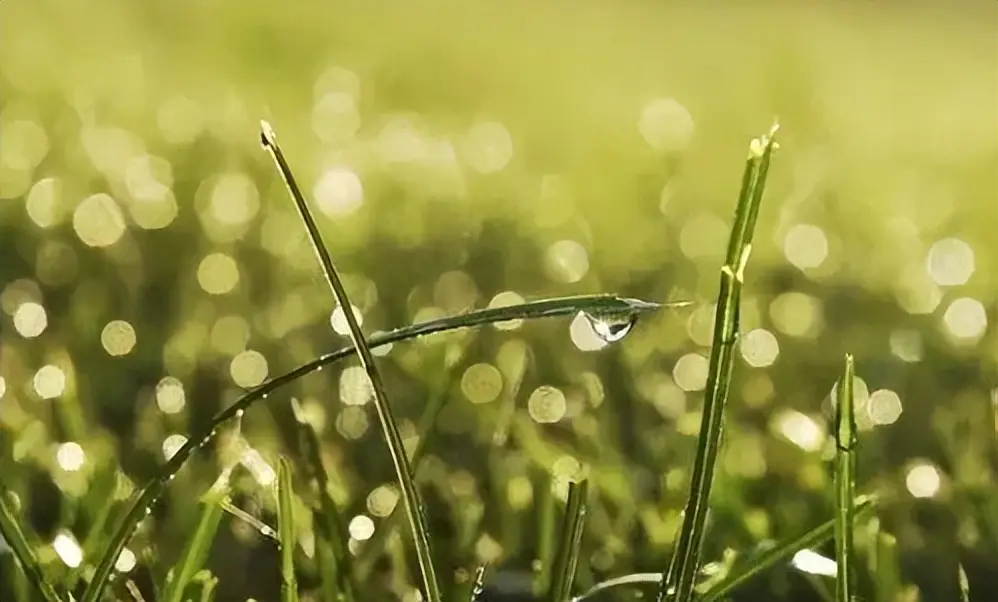 原創(chuàng)破石詩歌：石頭記