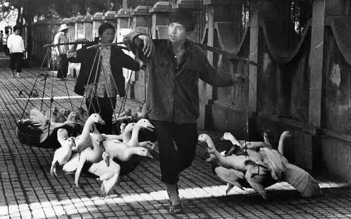 新中國(guó)第一批女?dāng)z影記者曉莊去世，享年94歲