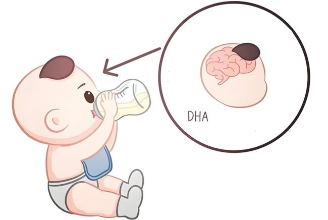 含DHA的奶粉有哪些推薦？熱門DHA奶粉盤點(diǎn)