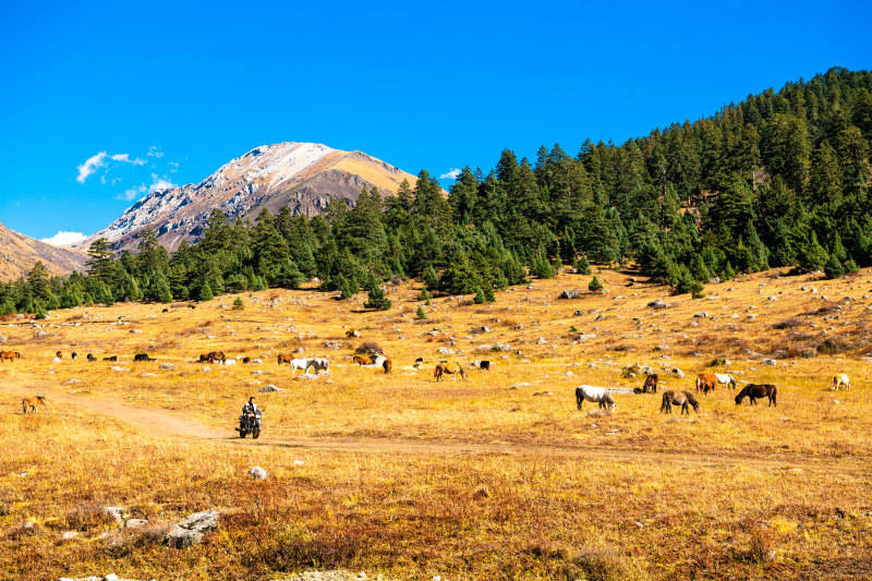 2025影像盤點 | 與山河同呼吸——攝影師 張云霞