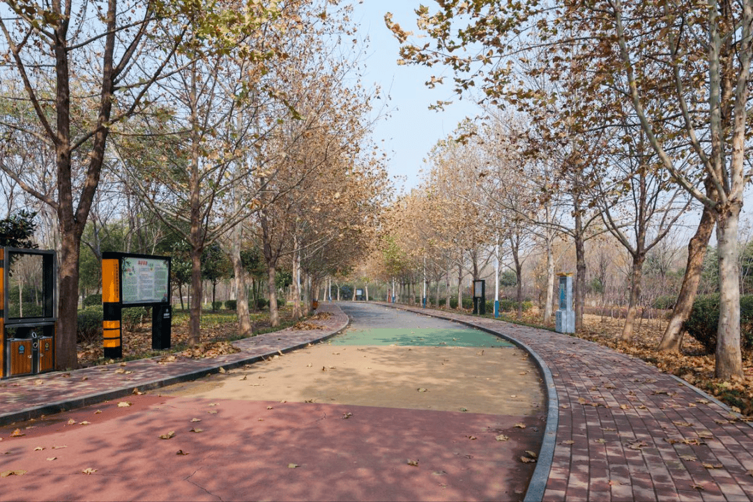 原創(chuàng)跑步10年的建議：冬季天天跑步危害大？