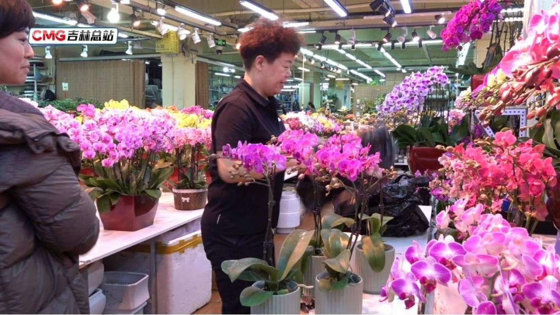 元旦假期長春水果花卉市場購銷兩旺 節(jié)日消費(fèi)市場暖意濃