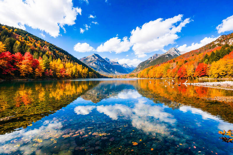 2025影像盤點 | 與山河同呼吸——攝影師 張云霞