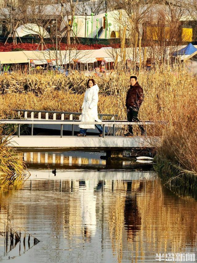 張村河畔夕照垂釣，暖冬繪就生態(tài)新景