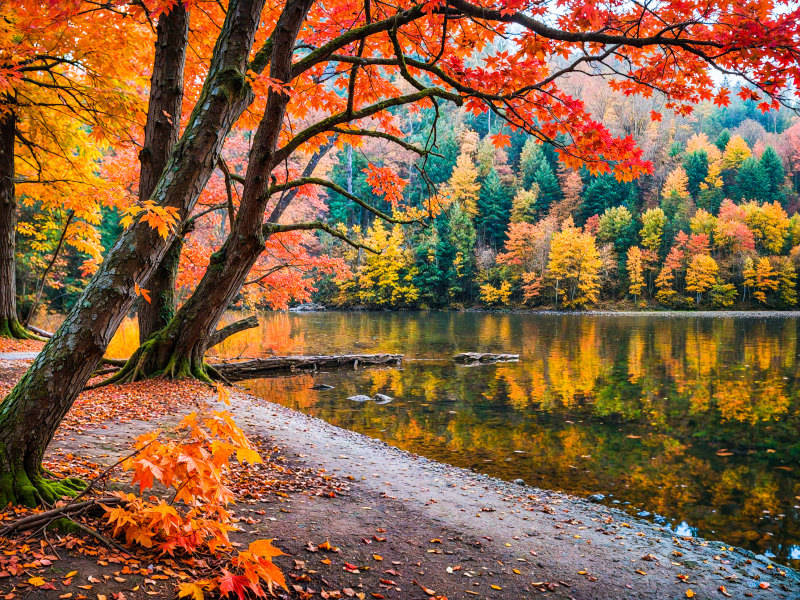 2025影像盤點 | 與山河同呼吸——攝影師 張云霞