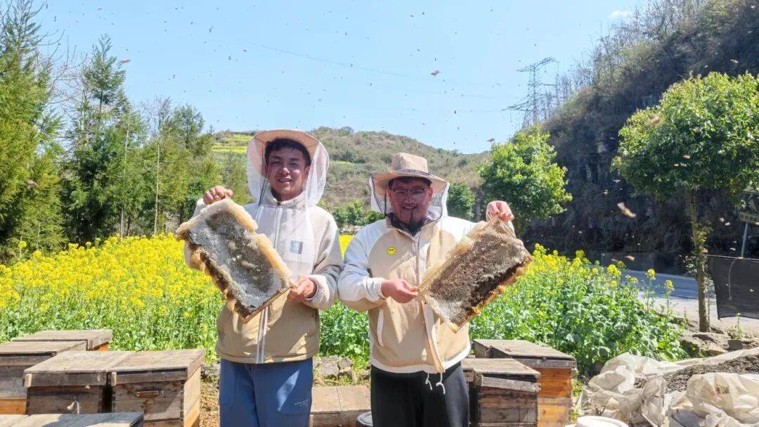 吉林蜂蜜獲國際金獎(jiǎng)