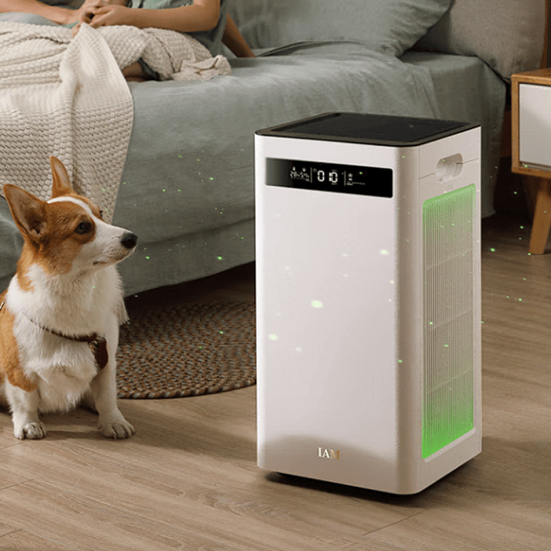 空氣凈化器可以祛除煙味嗎？去煙味比較好的空氣凈化器是哪款？