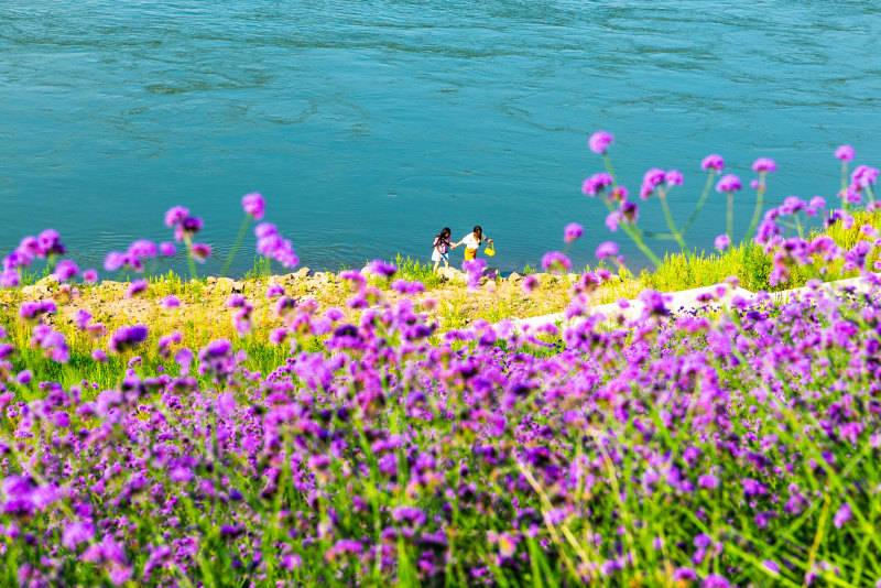 2025影像盤點 | 與山河同呼吸——攝影師 張云霞