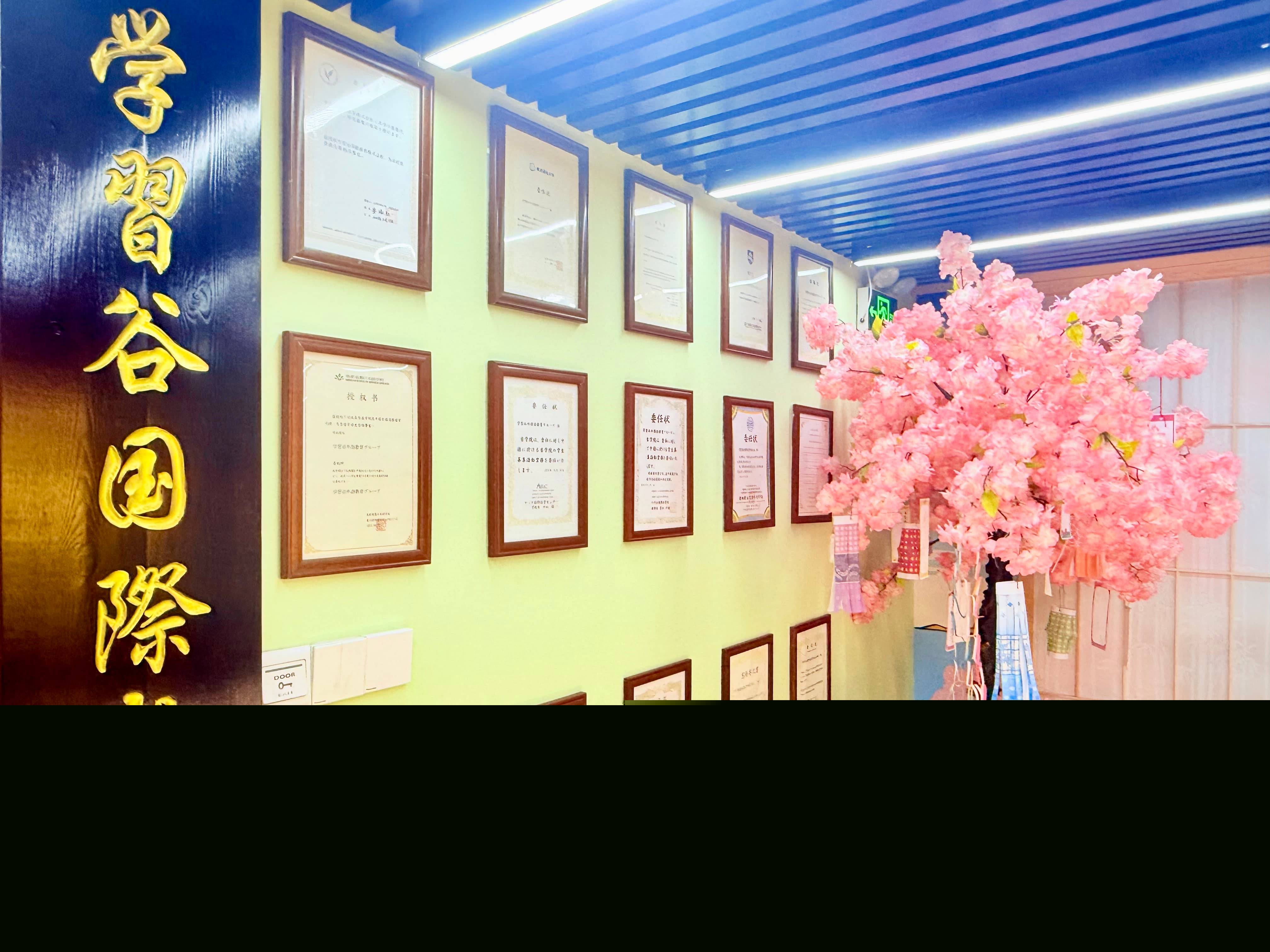 日語培訓(xùn)性價(jià)比深度對(duì)比，靠譜機(jī)構(gòu)與省錢攻略全解析