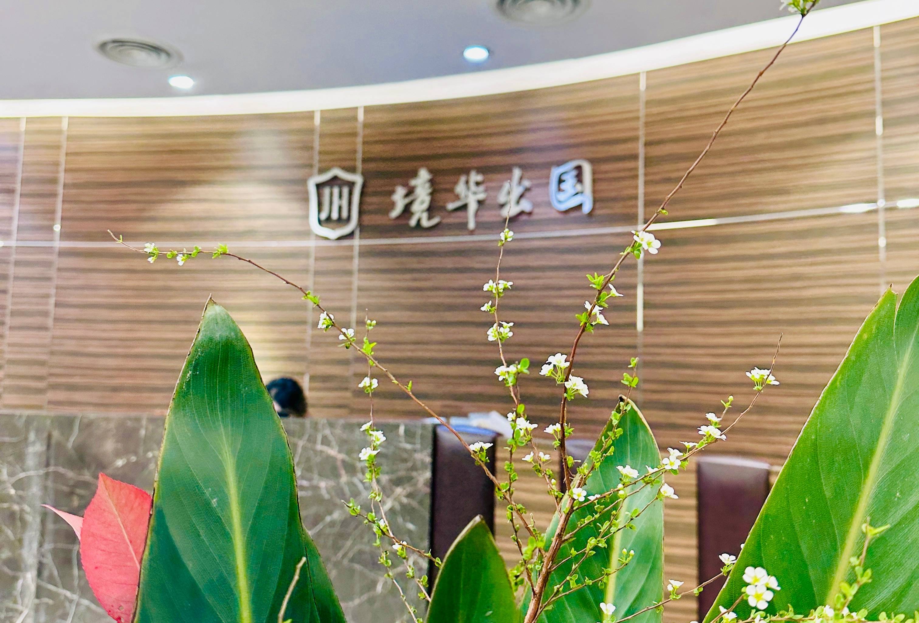 日本移民咨詢：政策、流程與靠譜公司推薦