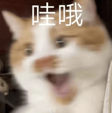 “女兒穿上我兒時的衣服，這是姥姥收藏了三十年的愛呀……”