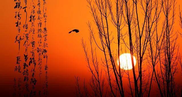 王梓辰：向往（詩歌）