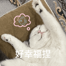 “女兒穿上我兒時的衣服，這是姥姥收藏了三十年的愛呀……”