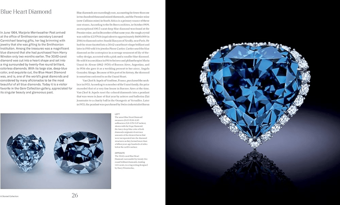 原創(chuàng)特朗普海湖莊園是誰建的？卡地亞頂層收藏家