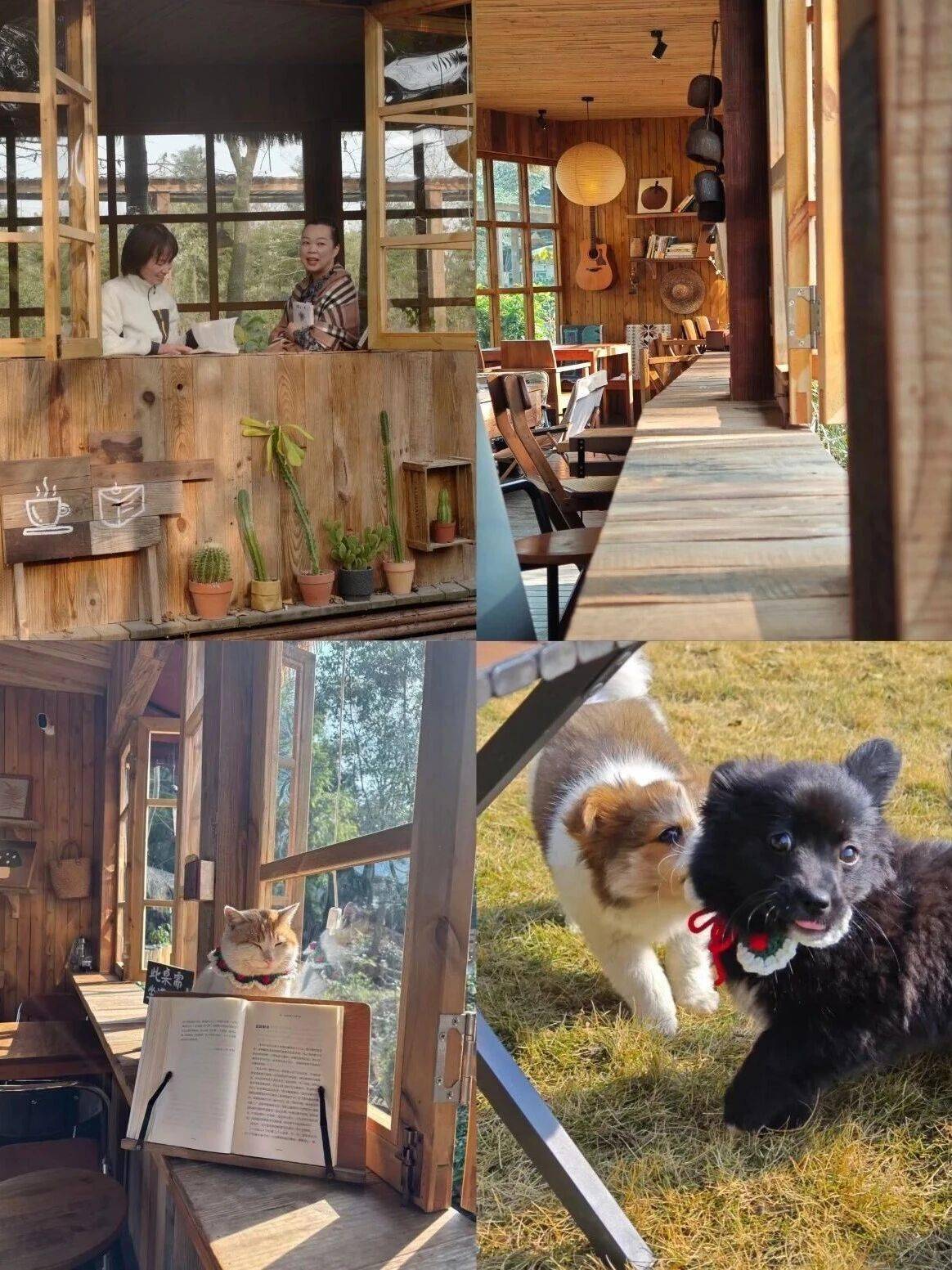 收藏！都江堰幸福感爆棚的曬暖好去處