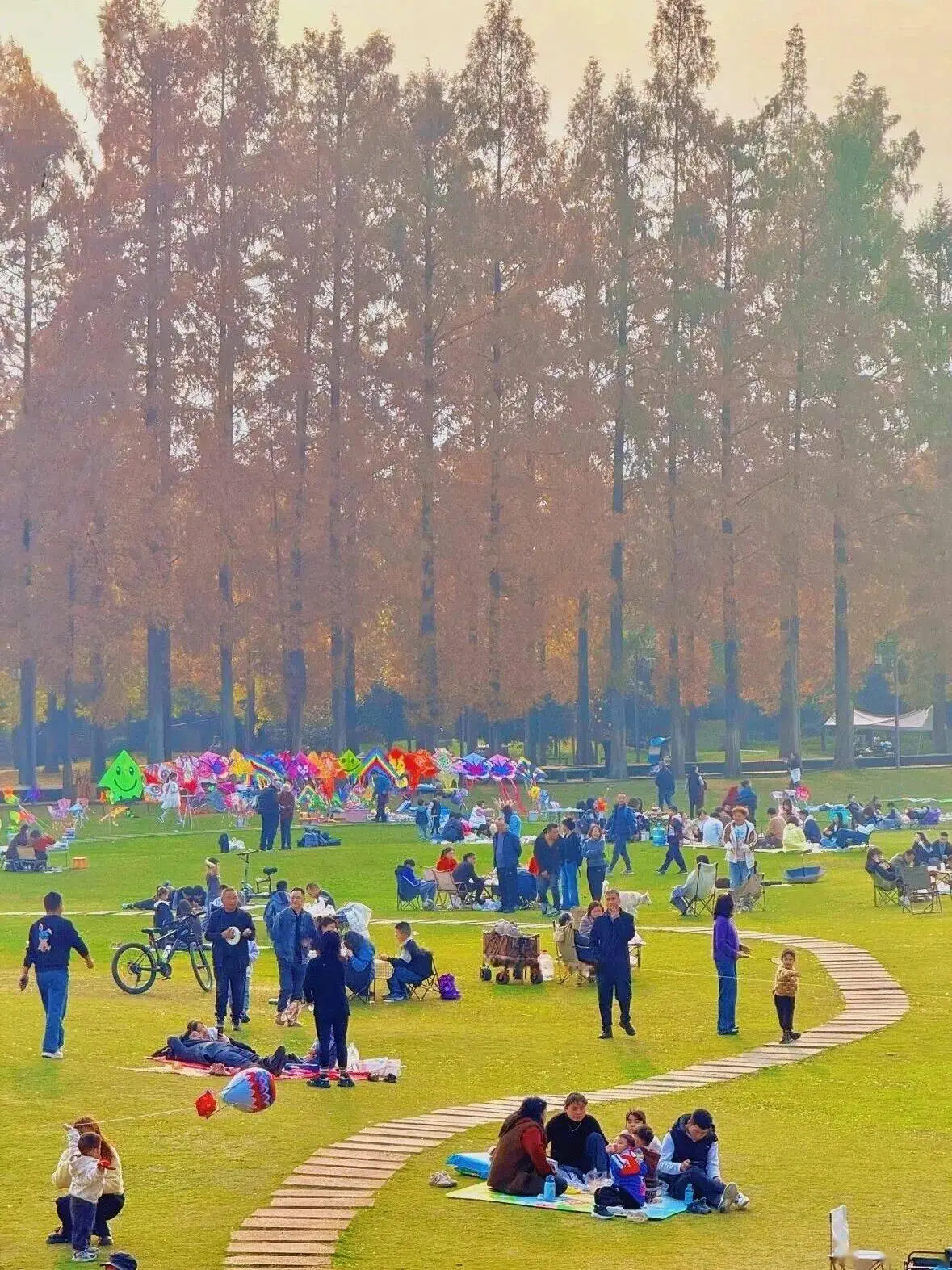 收藏！都江堰幸福感爆棚的曬暖好去處