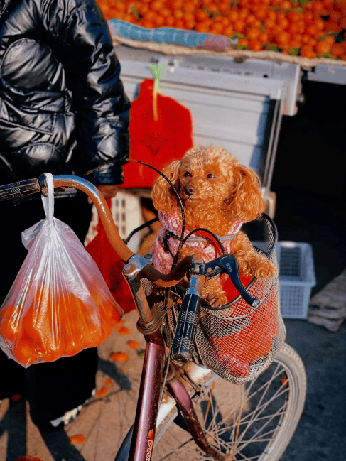 收藏！東營趕集時間地點匯總來了！