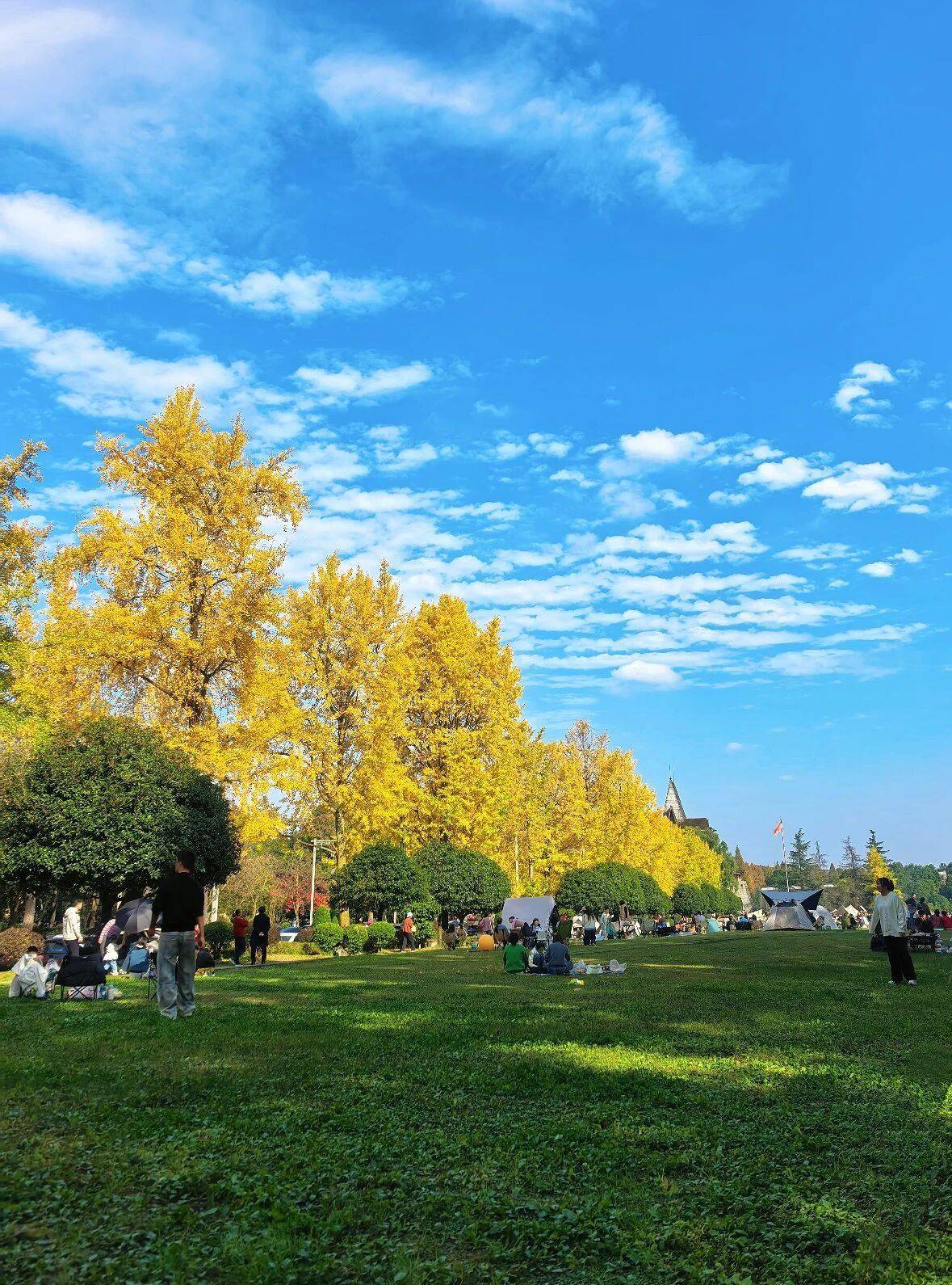 收藏！都江堰幸福感爆棚的曬暖好去處