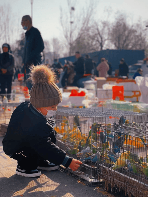 收藏！東營趕集時間地點匯總來了！
