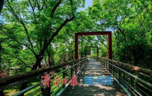 收藏！在泉城坐著地鐵逛公園最新攻略來啦